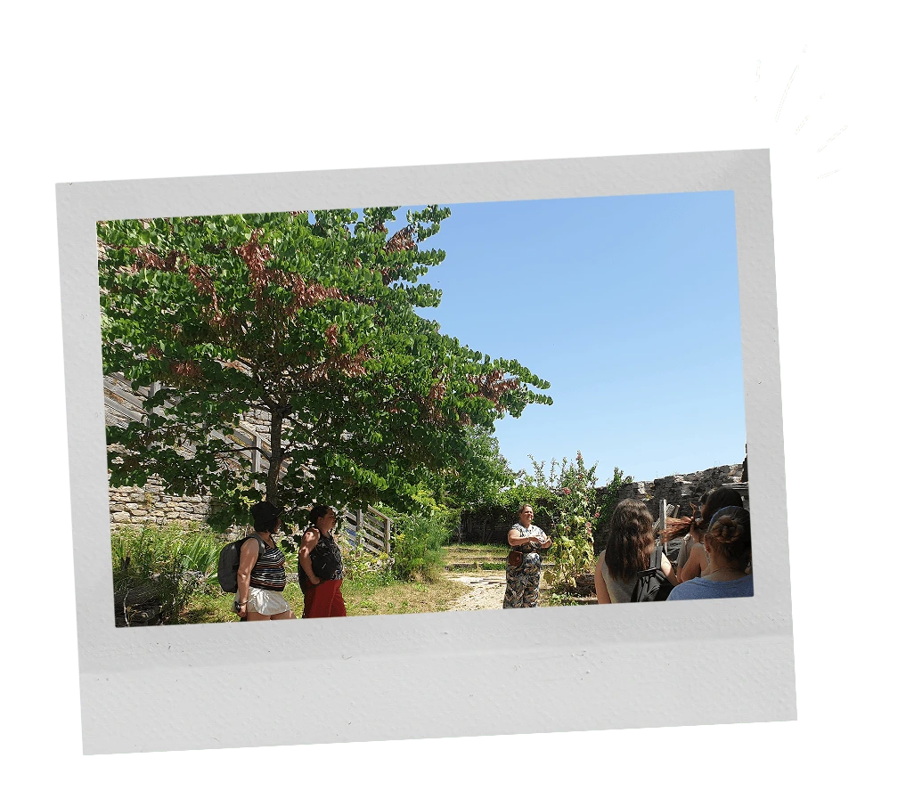 visite thematique au chateau de malain